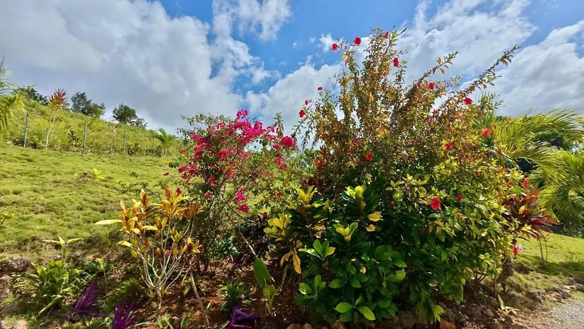 The Nest, A Quiet Refuge With Impressive Views Villa Las Terrenas