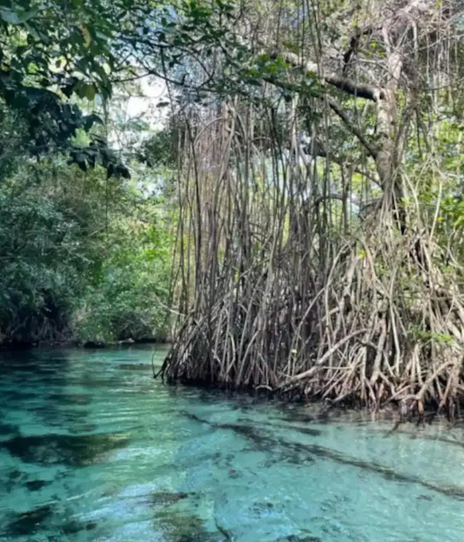 The Nest, A Quiet Refuge With Impressive Views Villa Las Terrenas
