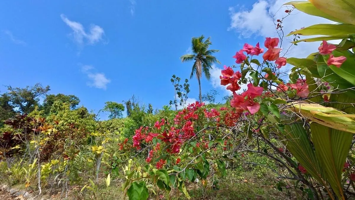 The Nest, A Quiet Refuge With Impressive Views Villa Las Terrenas
