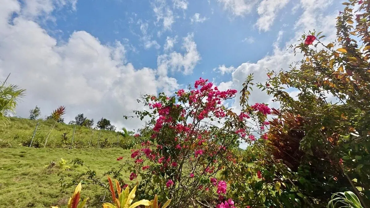 The Nest, A Quiet Refuge With Impressive Views Villa Las Terrenas