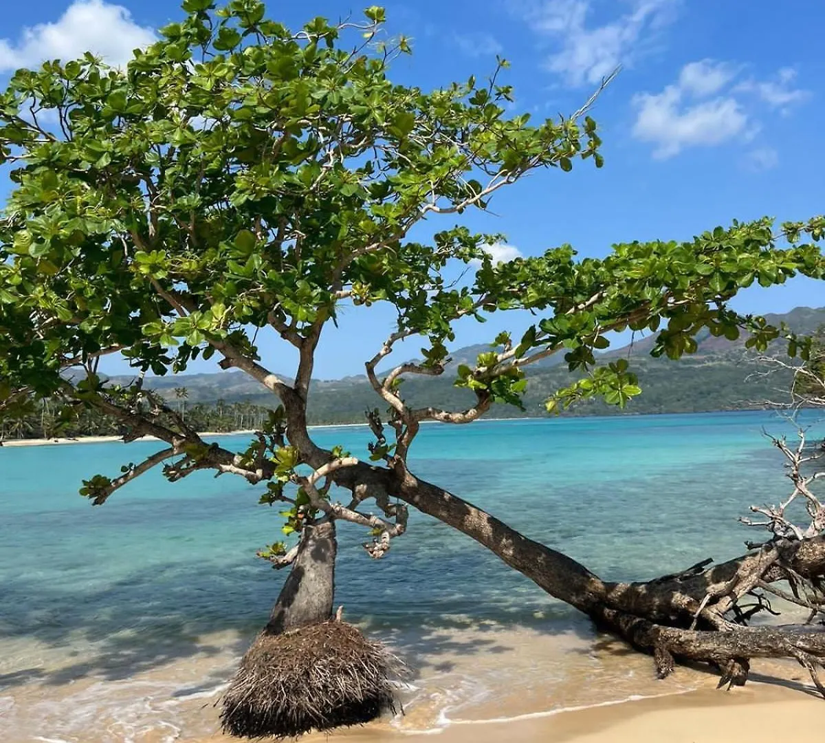 The Nest, A Quiet Refuge With Impressive Views Villa Las Terrenas